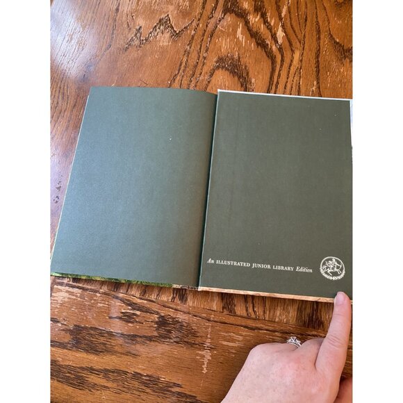 Heidi By Johanna Spyri Illustrated Junior Library Edition 1982 Hardcover - Picture 11 of 11